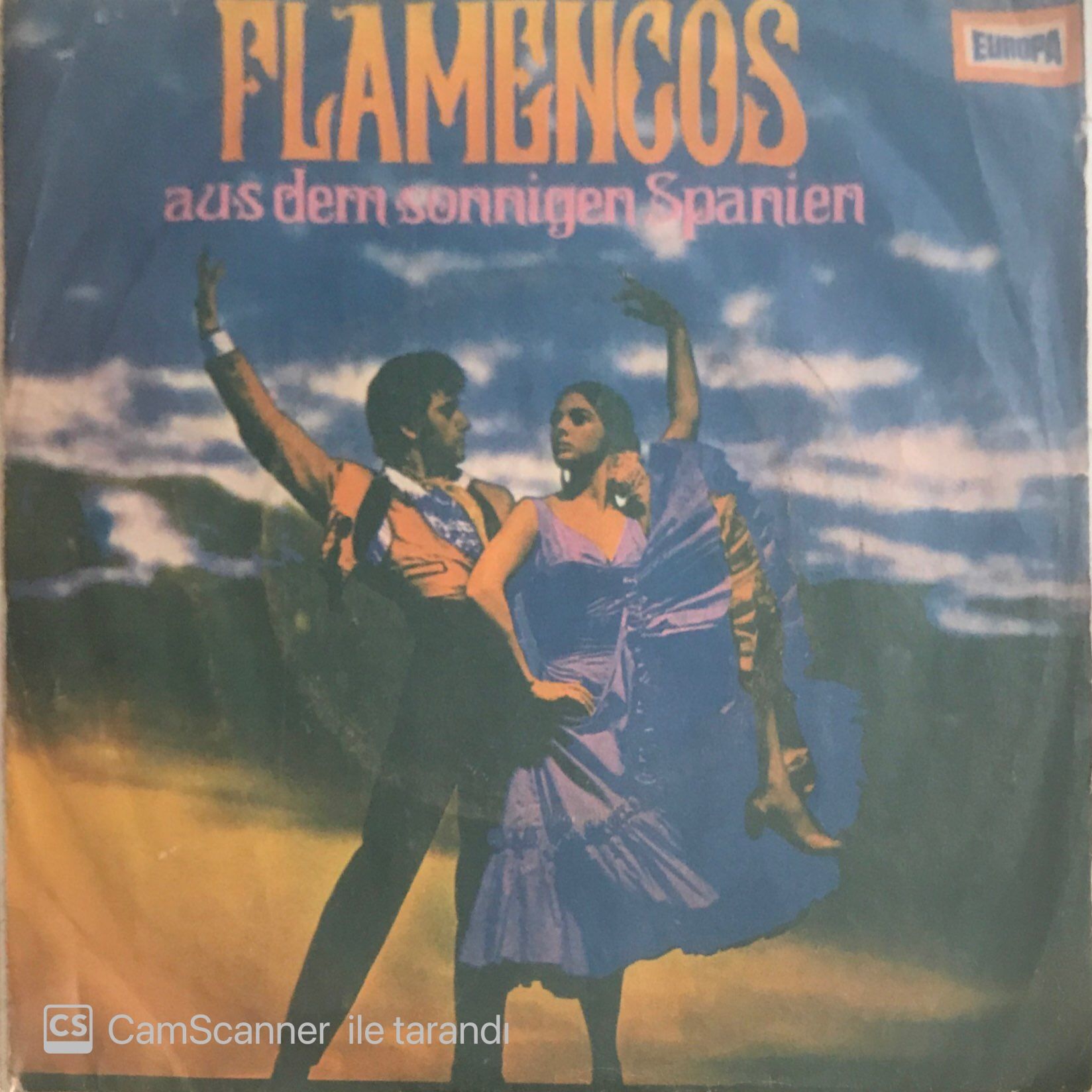 Flamencos Aus Dem Sonnigen Spanien 45lik
