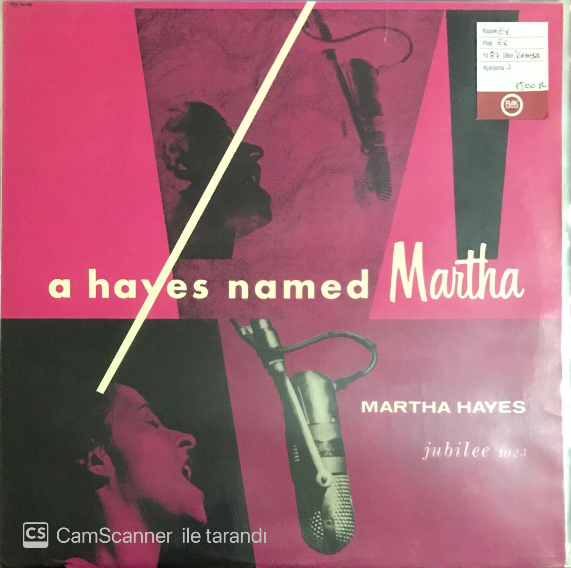 Martha Hayes a Hayes named Martha LP