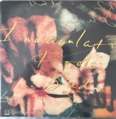 Immaculate Fools - Sad 45lik