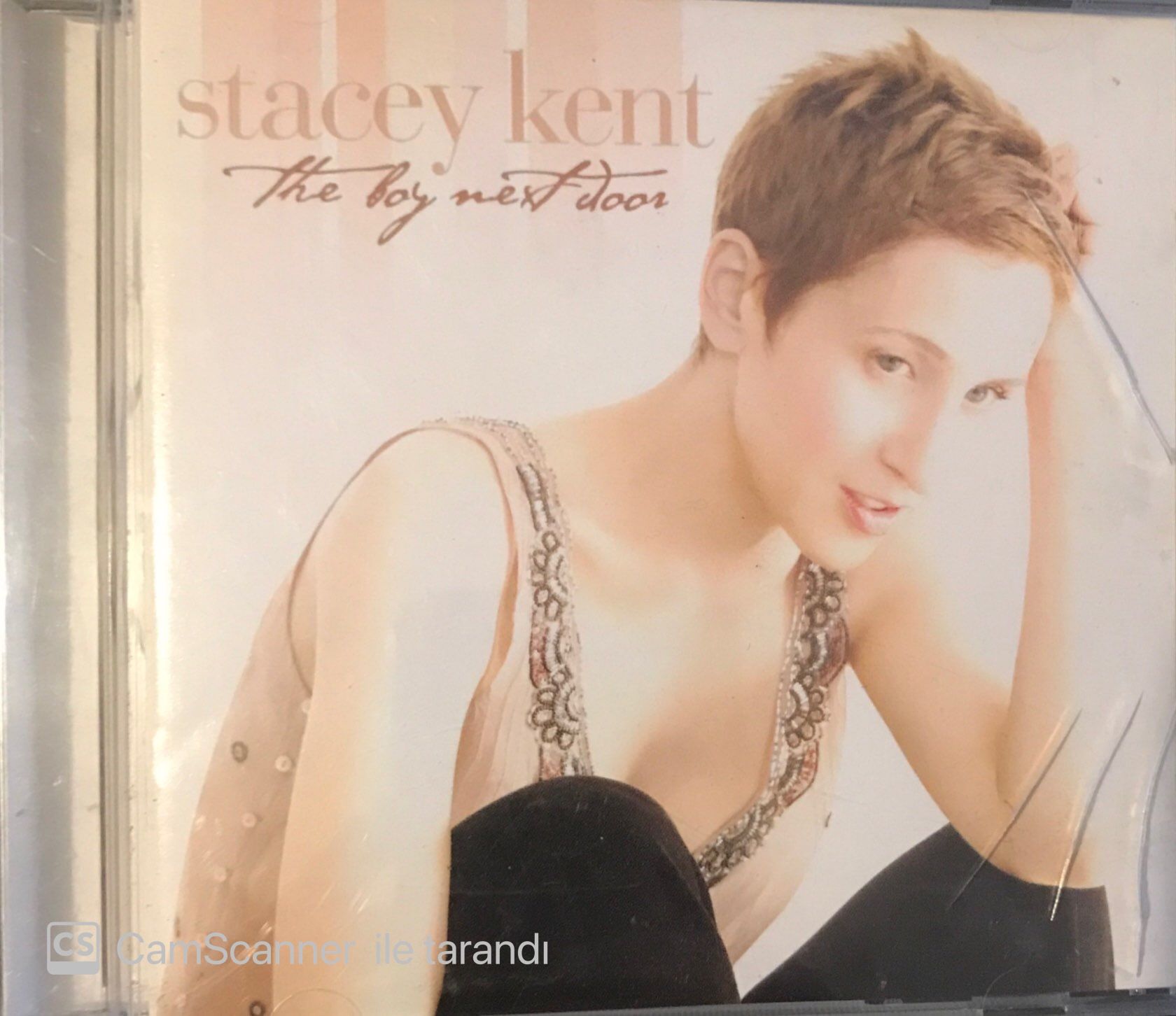 Stacey Kent - The Boy Next Door CD