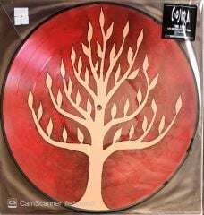 Gojira - The Link (LTD Edition Picture Disc) - LP