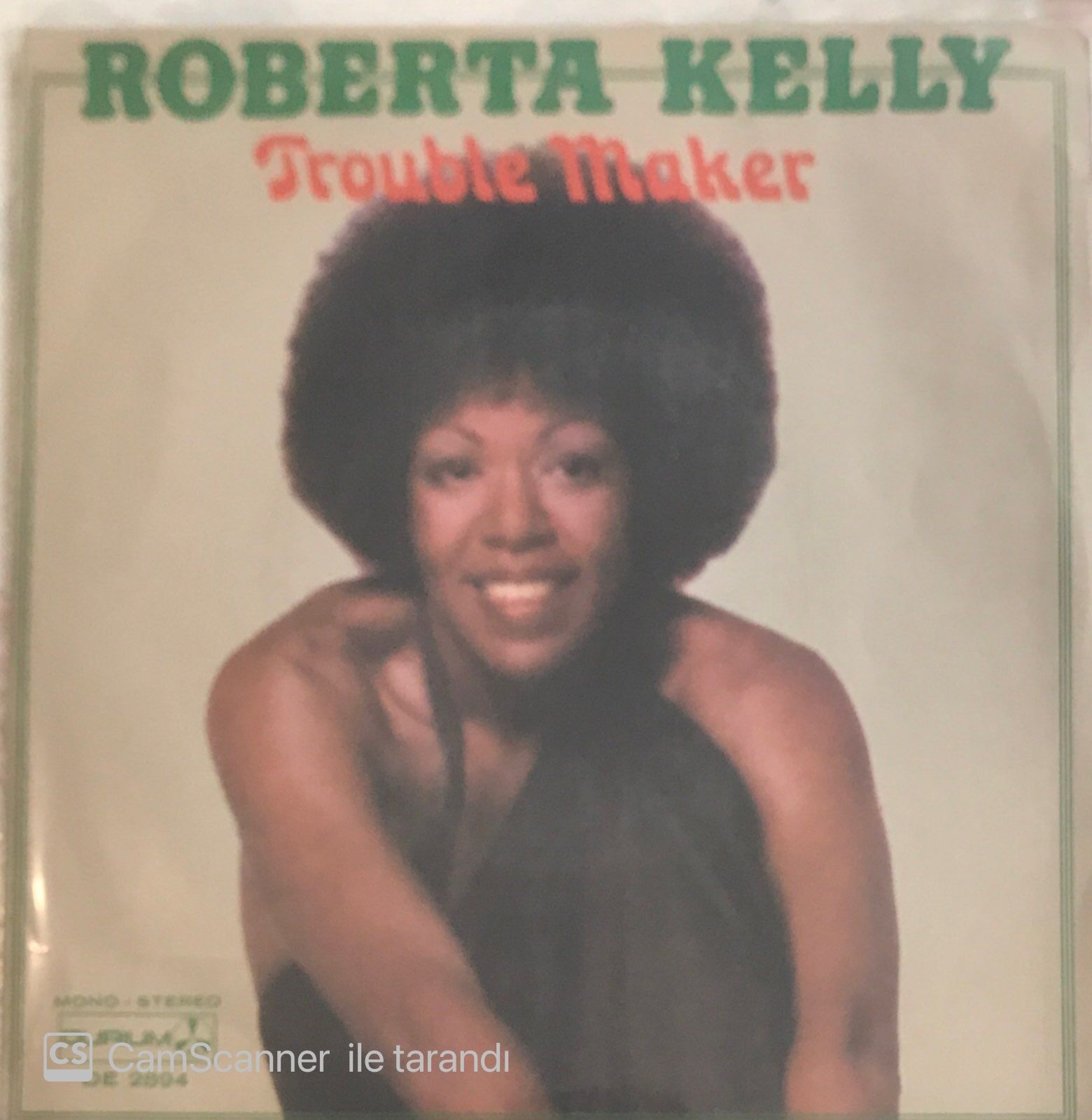 Roberta Kelly Trouble Maker 45lik