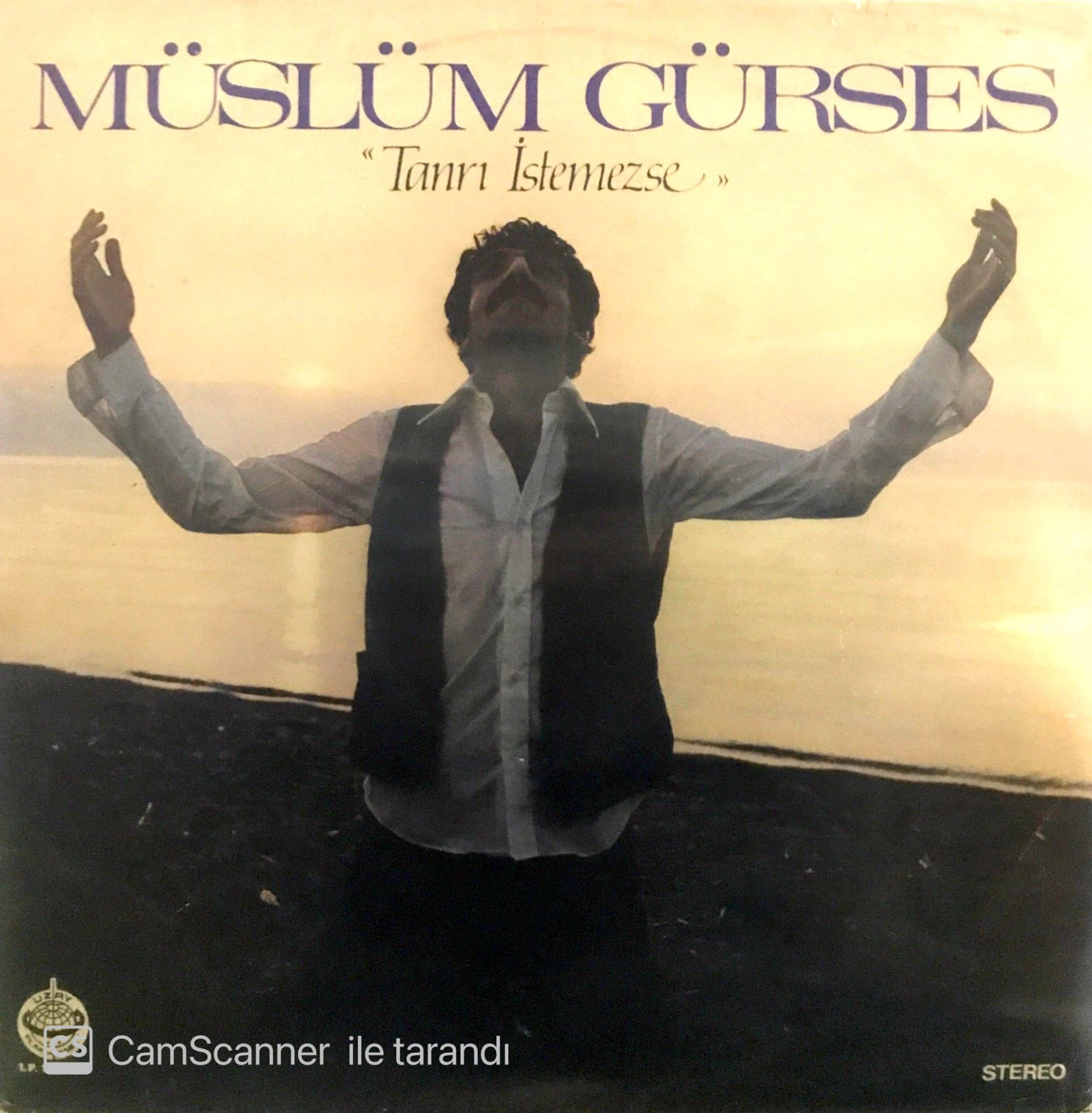 Müslüm Gürses Tanrı İstemezse LP
