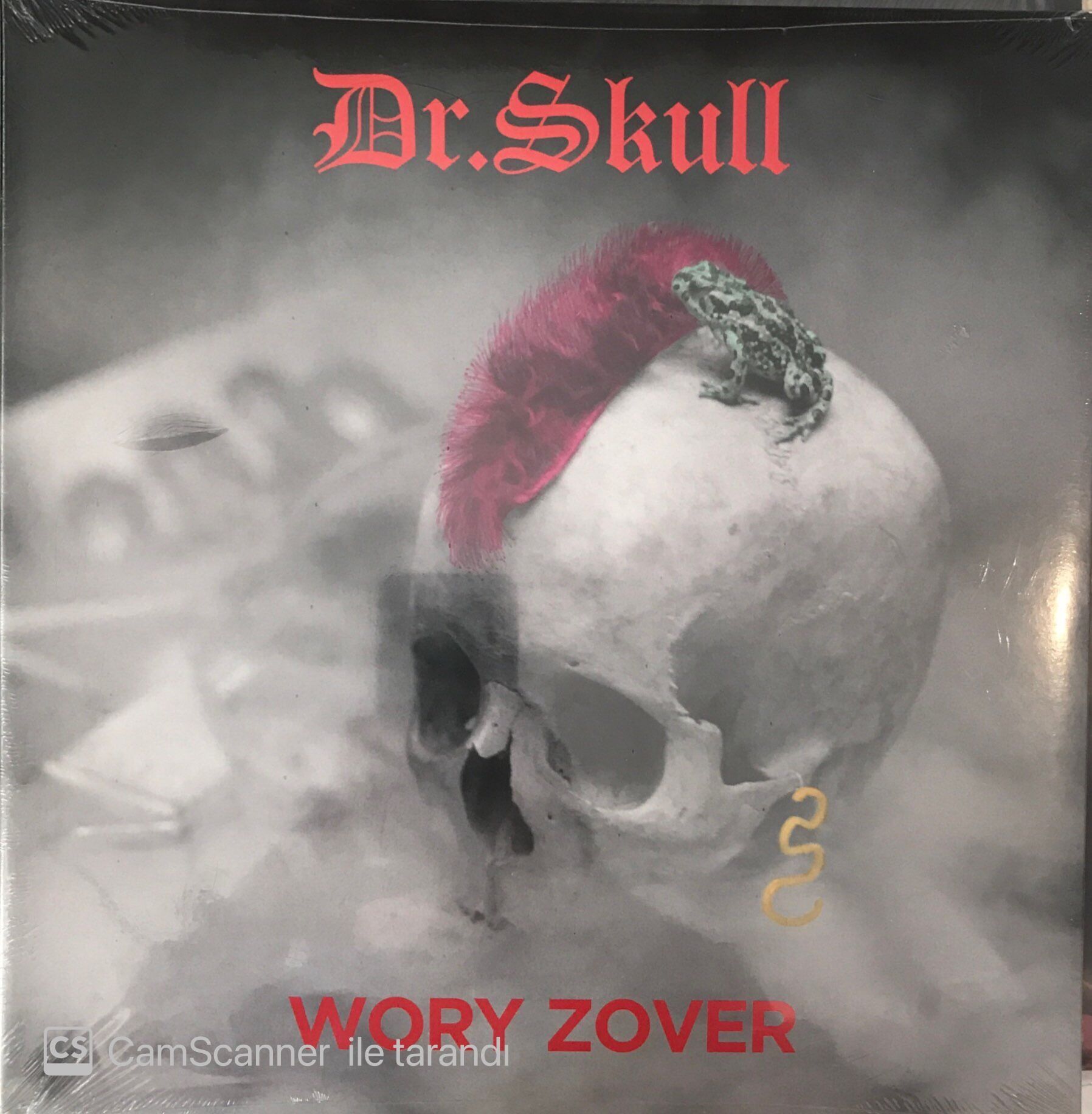 Dr. Skull Wory Zover LP