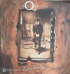 Roy Orbison You Got It 45lik