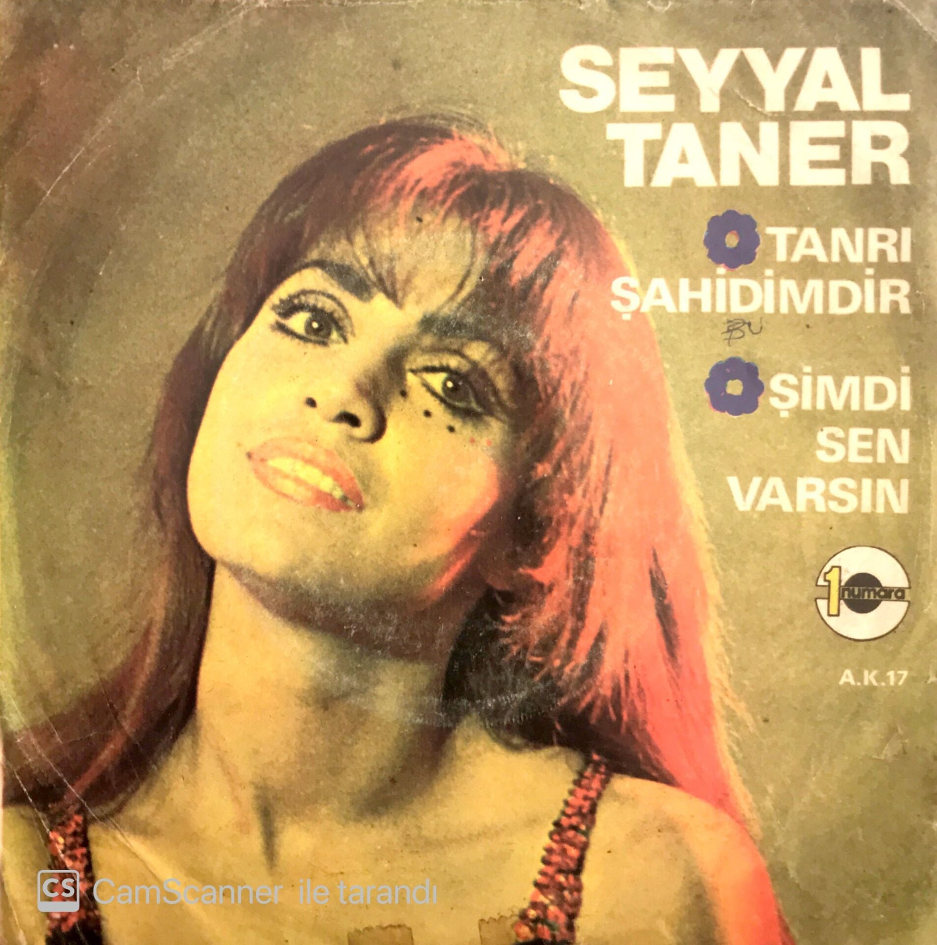 Seyyal Taner Tanrı Şahidimdir 45lik