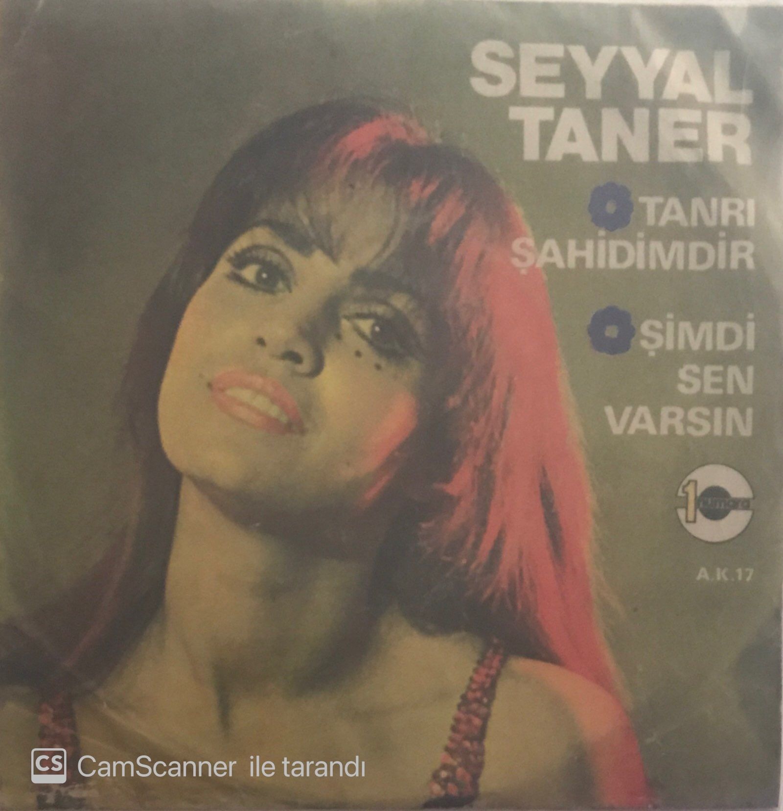 Seyyal Taner Tanrı Şahidimdir 45lik