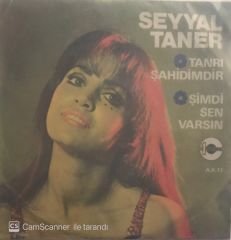 Seyyal Taner Tanrı Şahidimdir 45lik