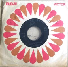 Elvis Presley - Devil In Disguise/Please Don't Drag That String Around -  45'lik