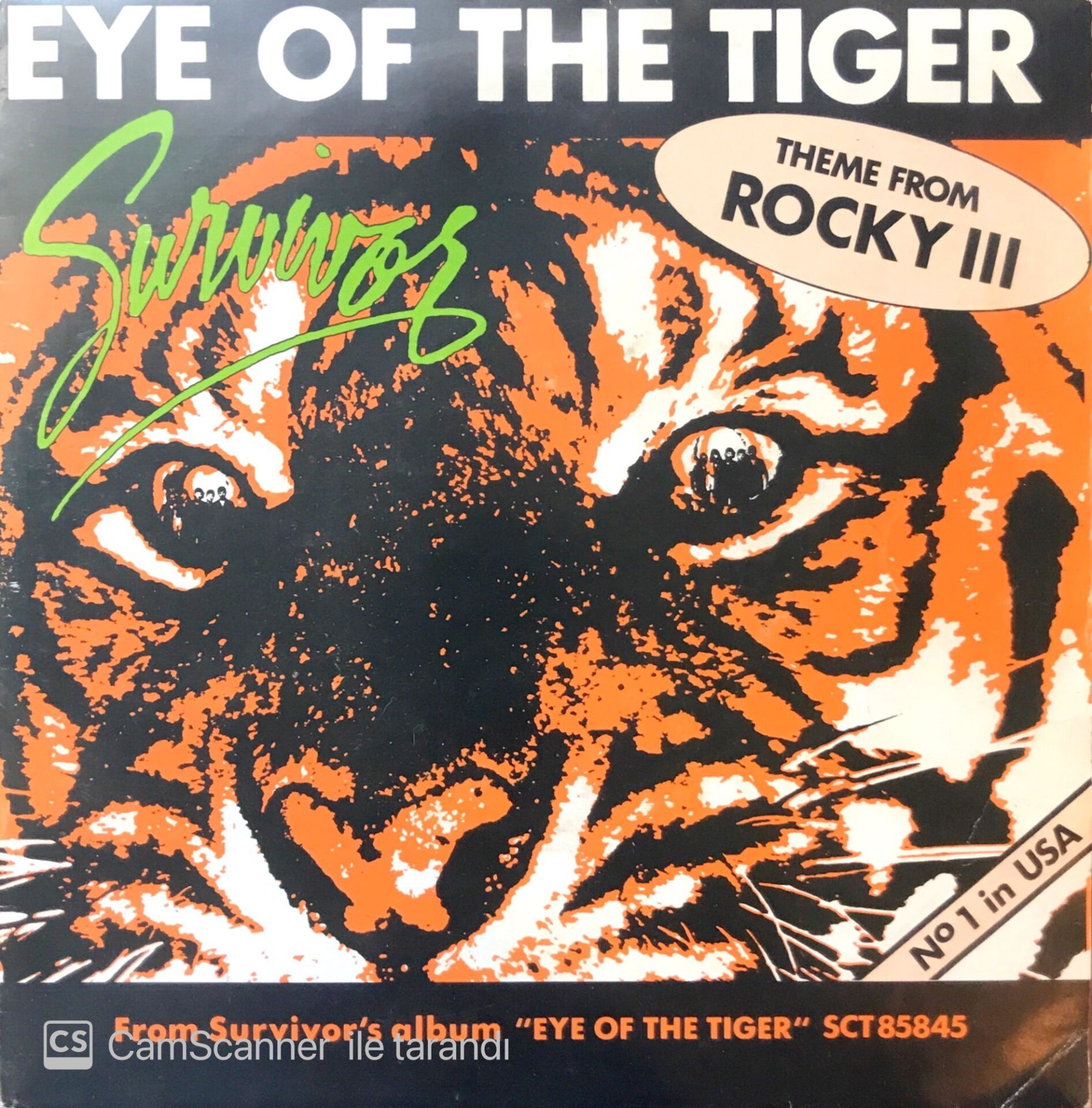 Survivor / Eye Of The Tiger 45'lik