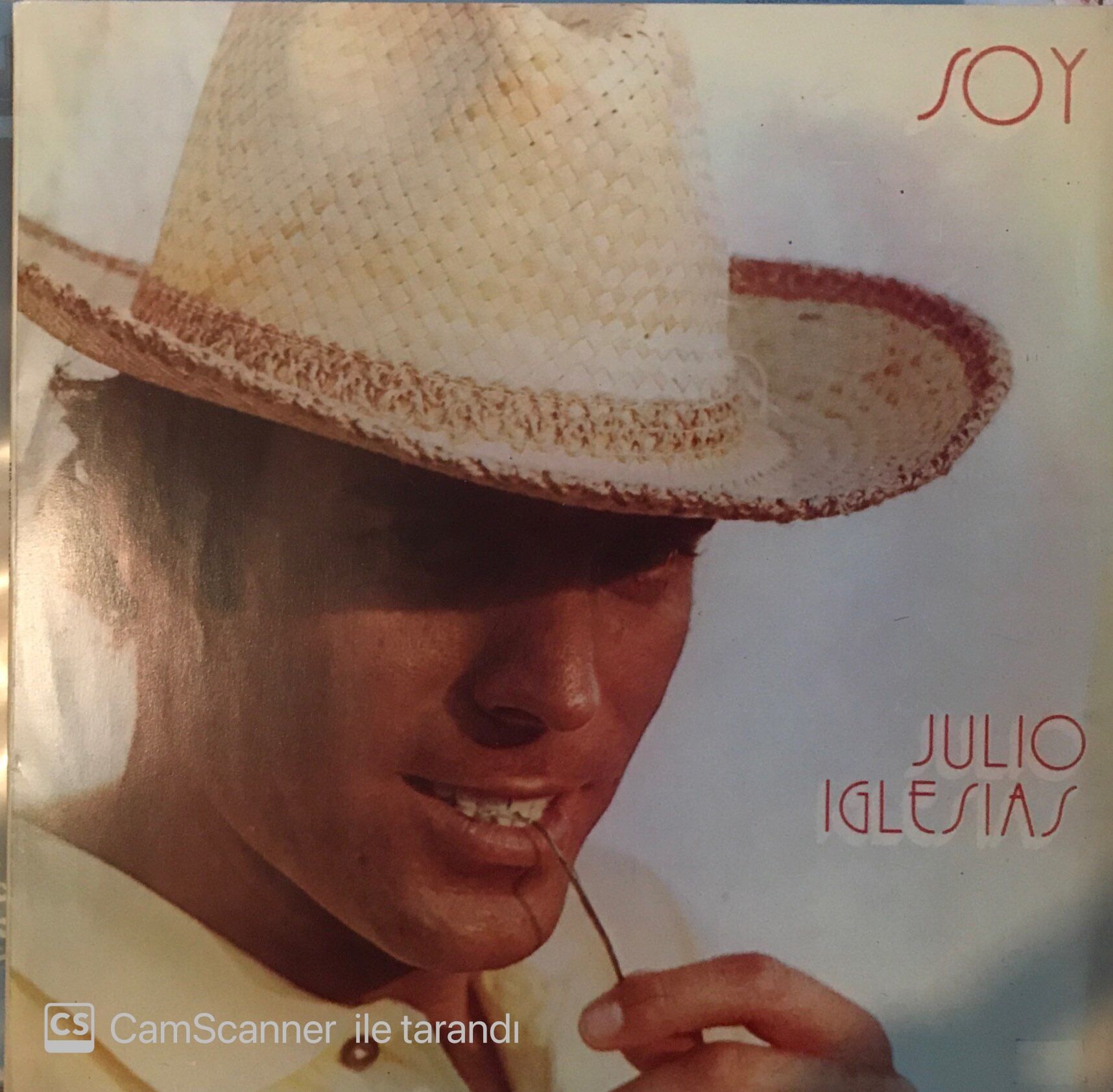 Julio Iglesias Soy LP