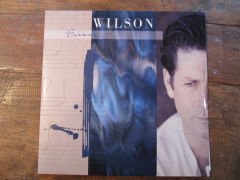Brian Wilson – Brian Wilson (Mavi Renk Limitli Baskı) LP