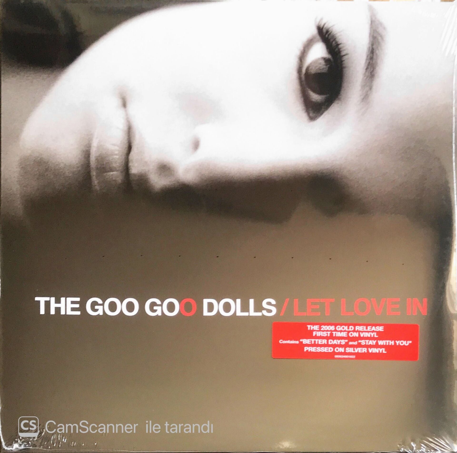 The Goo Goo Dolls - Let Love In - LP