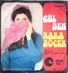 Gülden Karaböcek - Nem Kaldı/Bitmez Tükenmez Geceler - 45'lik