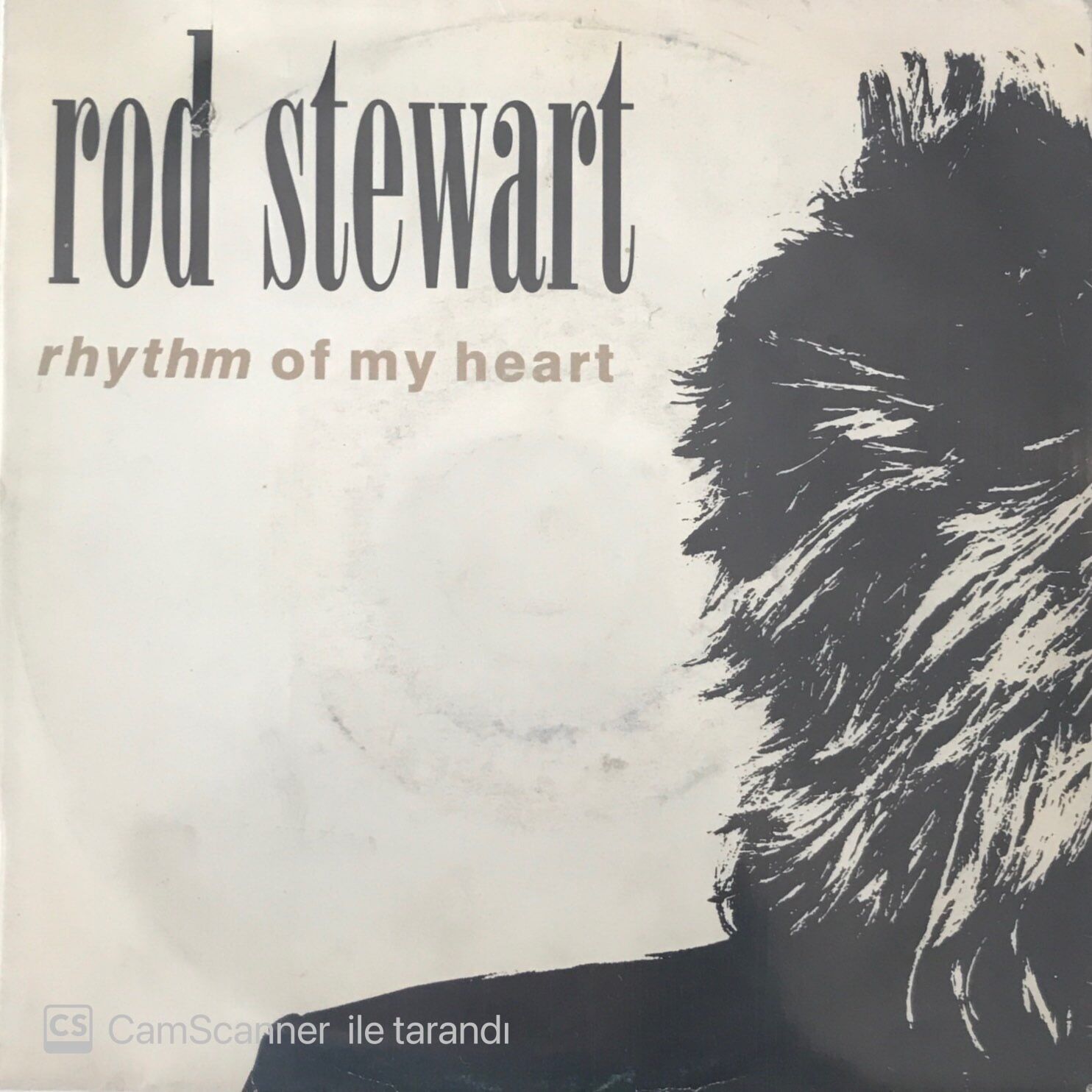Rod Stewart - Rhythm Of My Heart 45lik