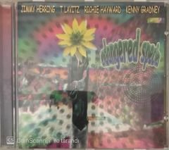 Jimmy Herring , T Lavitz , Richie Hayward , Kenny Gradney CD