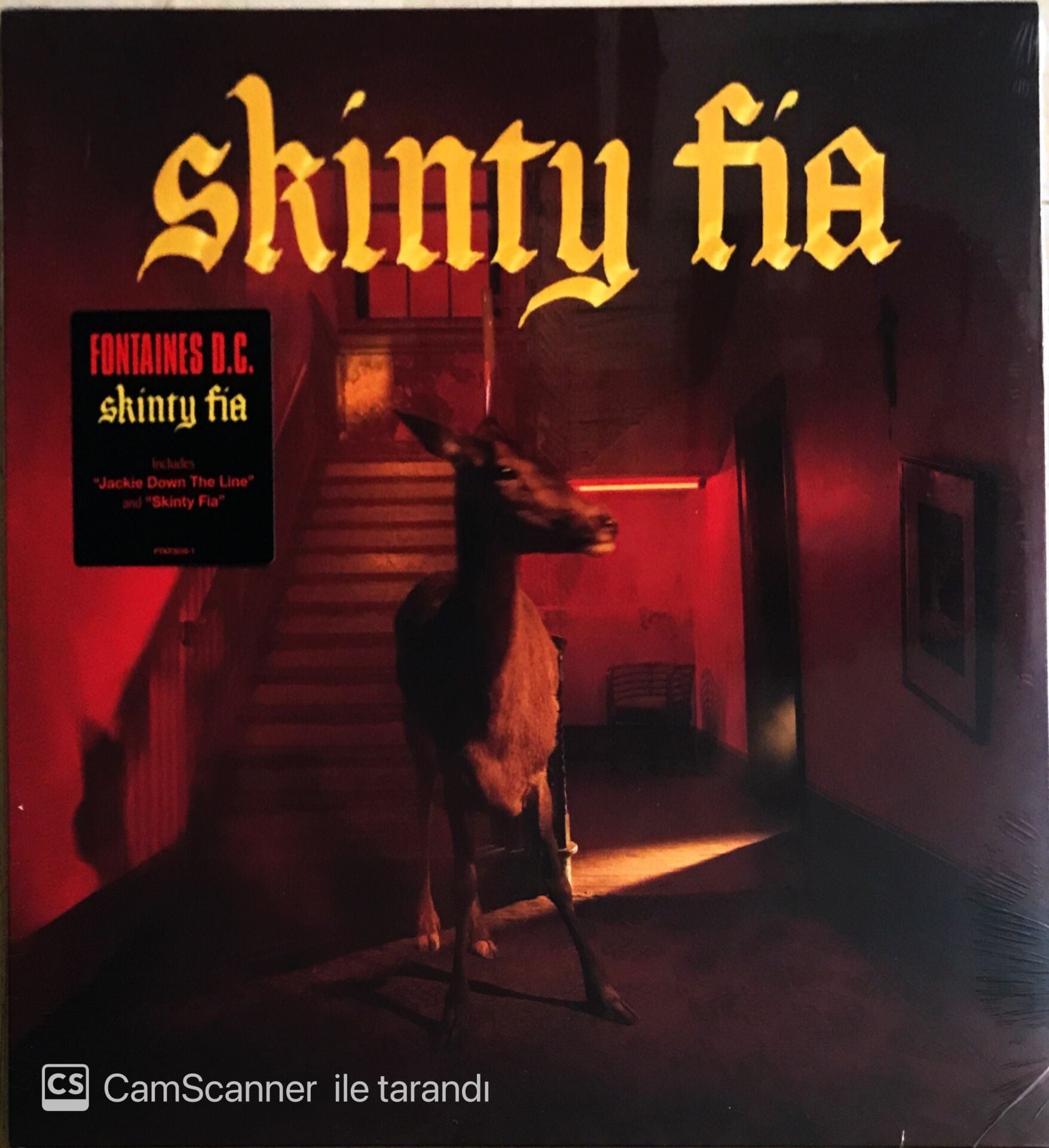 Fontaines D.C. - Skinty Fia - LP