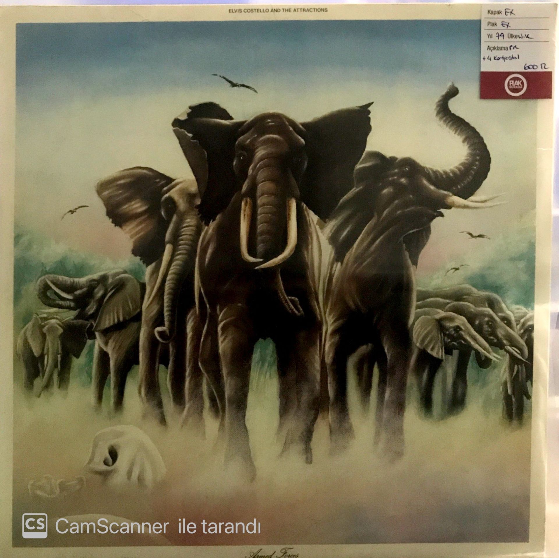 Elvis Costello and the Attractions LP