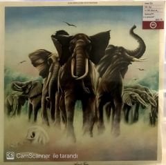 Elvis Costello and the Attractions LP