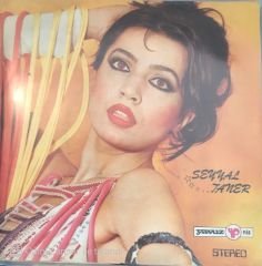 Seyyal Taner - Sorma Neydi O ! 45lik