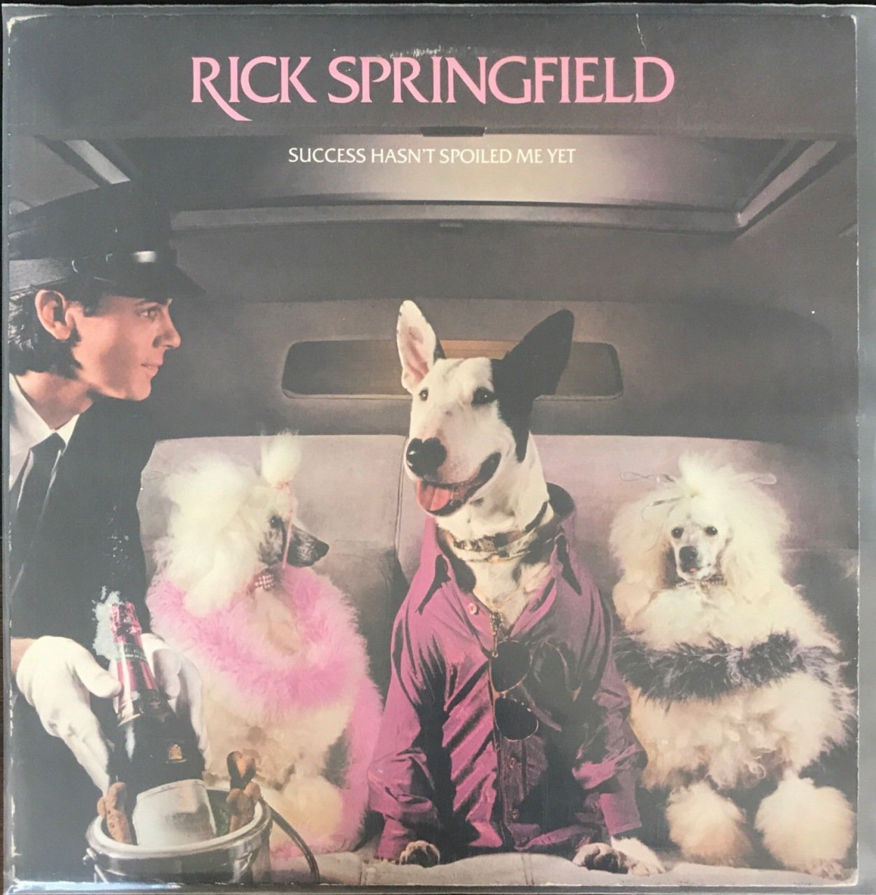Rick Springfield Succes Hasn't Spoiled Me Yet LP