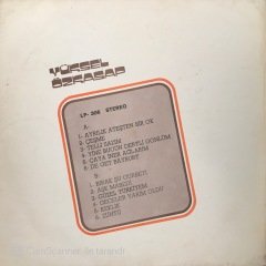 Yüksel Özkasap Ayrılık Ateşten Bir Ok LP