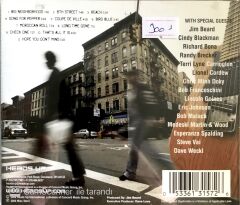 Mike Stern / Big Neighborhood CD