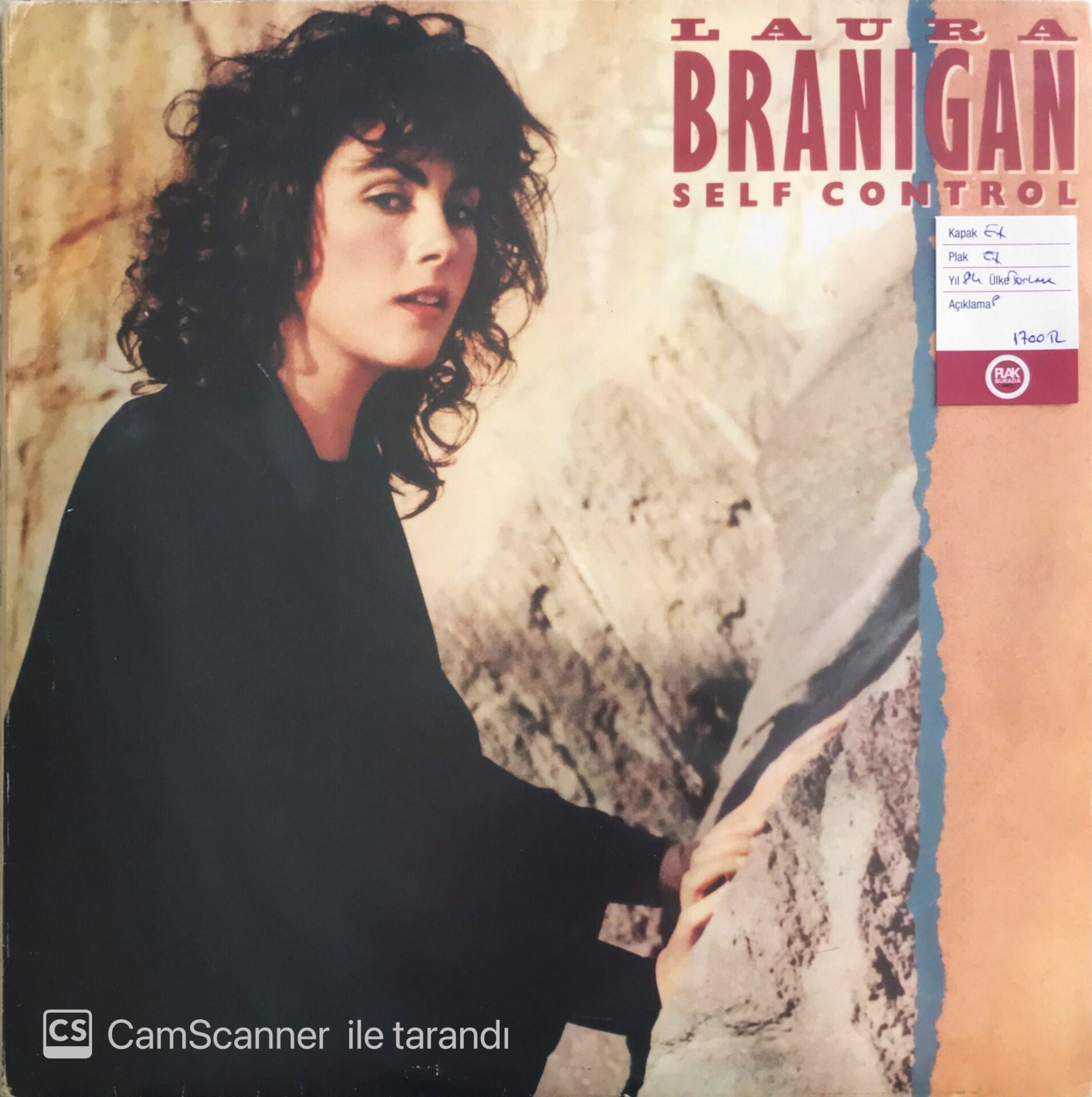 Laura Branigan  - Self Control - LP