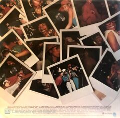 The Pointer Sisters / Having A Party LP