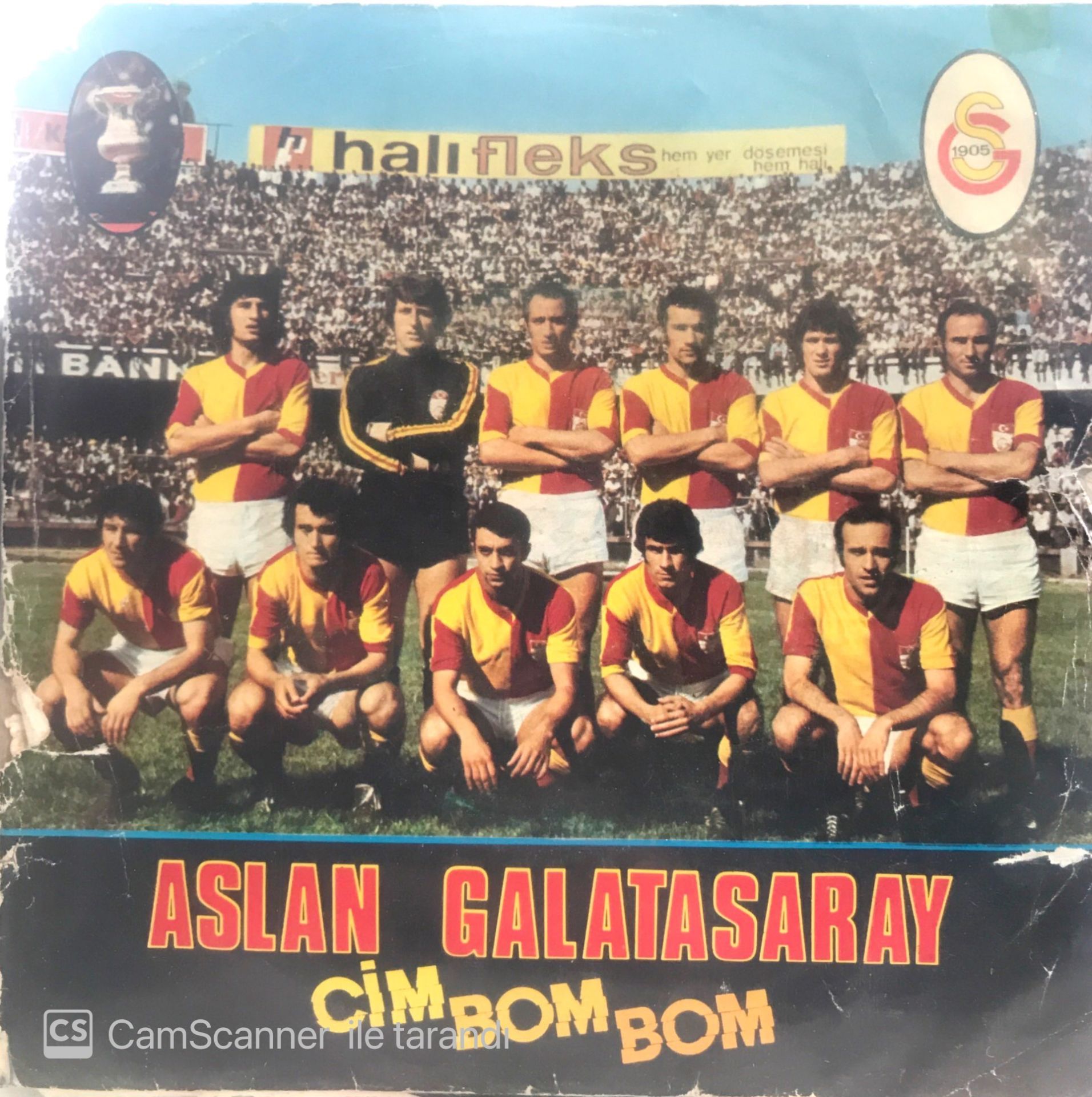Aslan Galatasaray 45lik