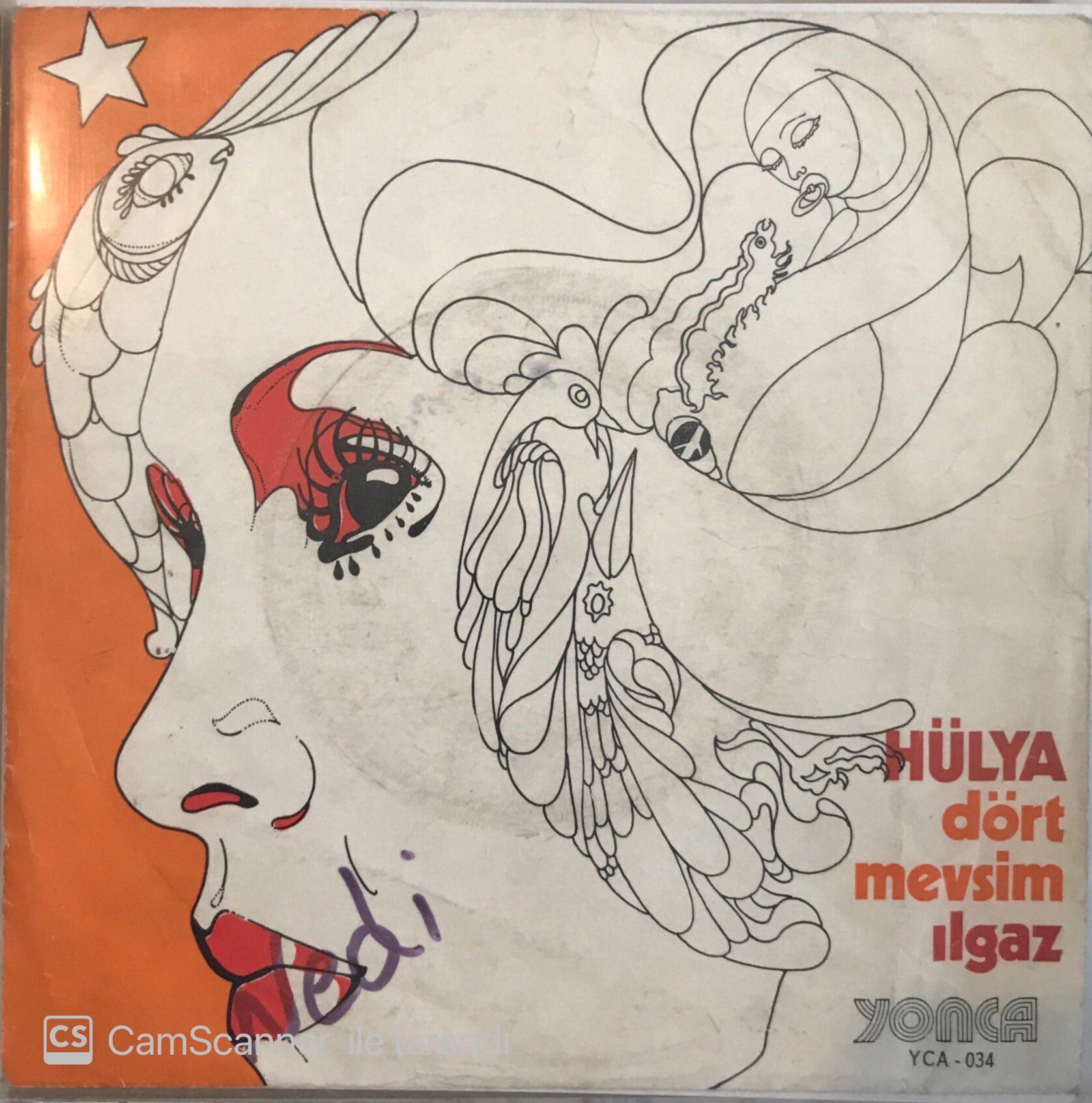 Hülya Dört Mevsim 45lik