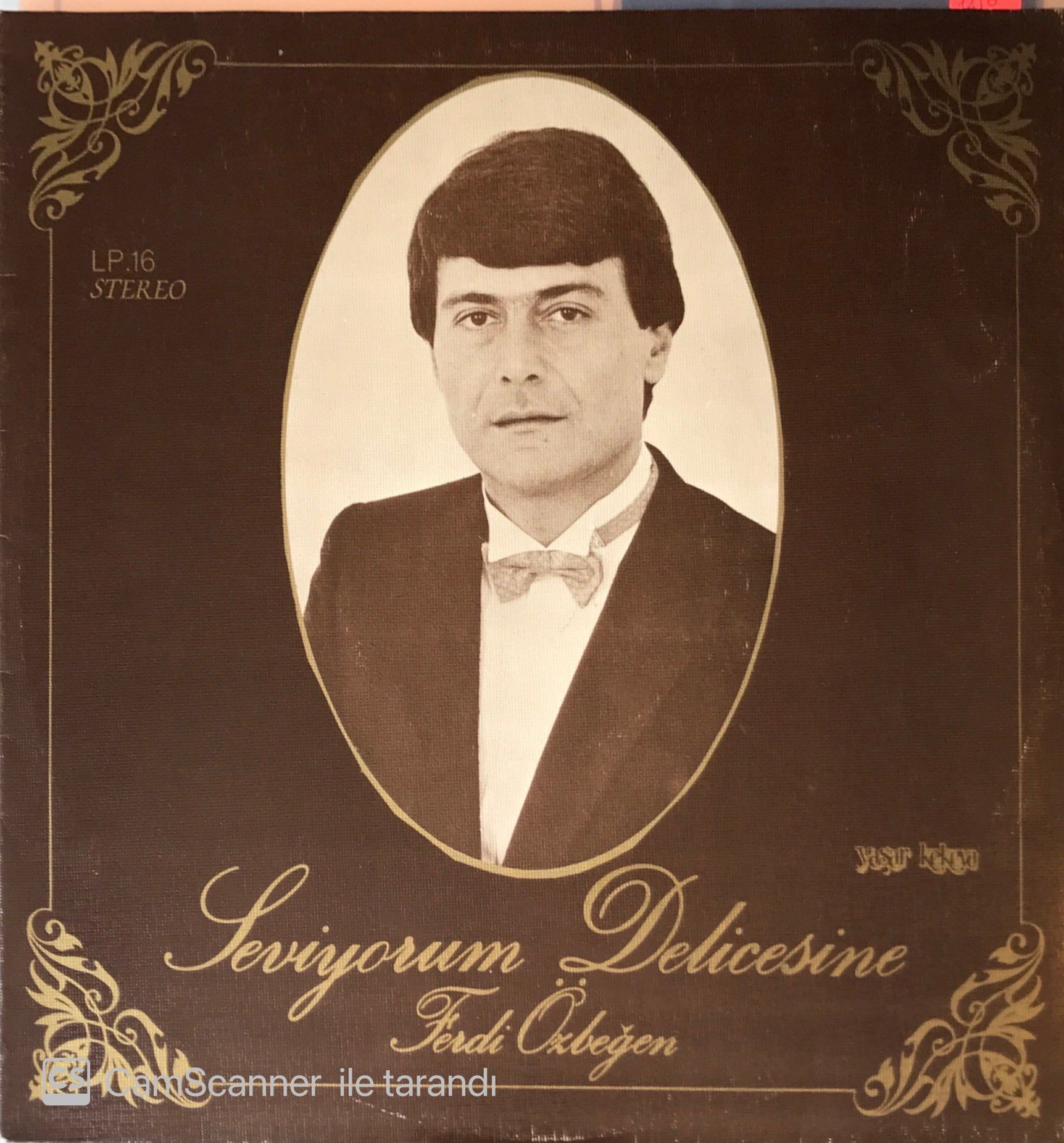 Ferdi Özbeğen Seviyorum Delicesine LP