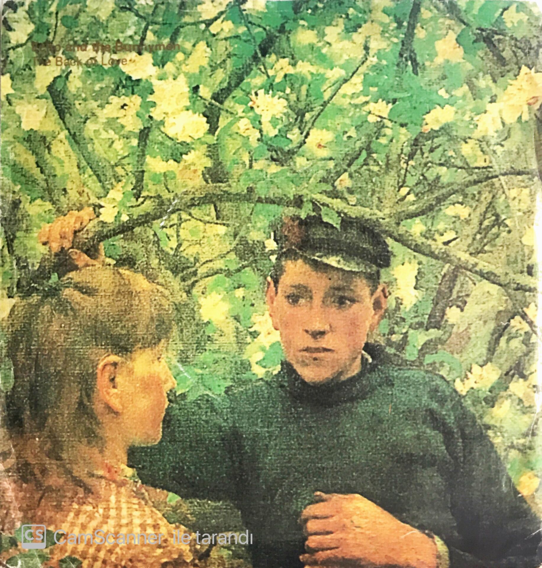 Echo And The Bunnymen - The Back Of Love/The Subject - 45'lik