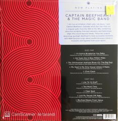 Captain Beefheart & The Magic Band - LP