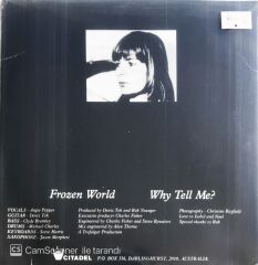 Angie Pepper - Frozen World/Why Tell Me? - 45'lik