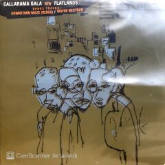 Sonic Sum / Callarama Gala + Flatlands LP Maxi Sİngle