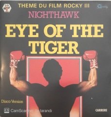 Theme Du Film Rocky III Nighthawk Eye Of The Tiger 45lik