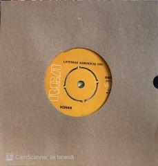 Laternis Armonikas Orkestrası Horan 45lik