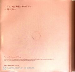 Jenny Lewis with the Watson Twins CD