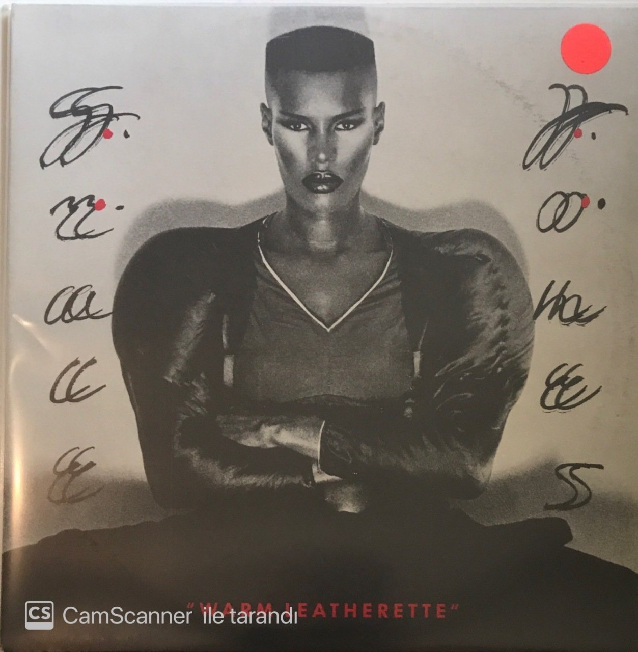 Grace Jones Warm Leatherette LP