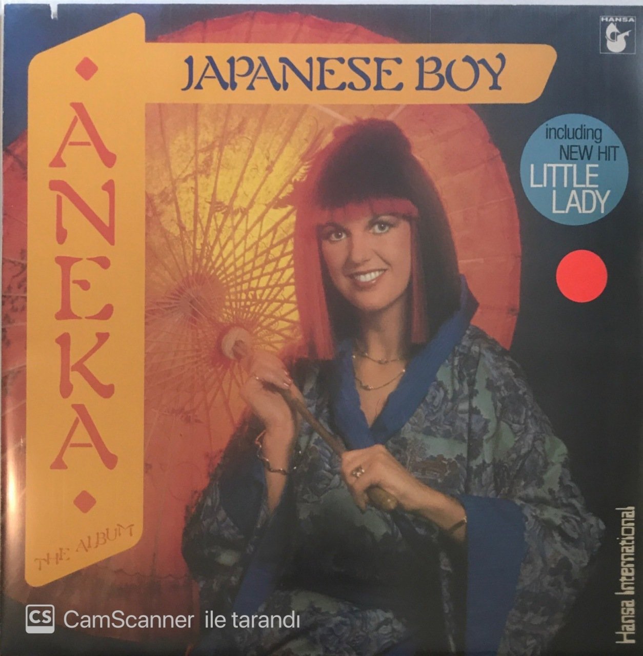Aneka Japanese Boy LP