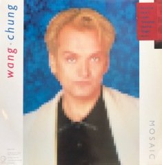 Wang Chung Mosaic LP