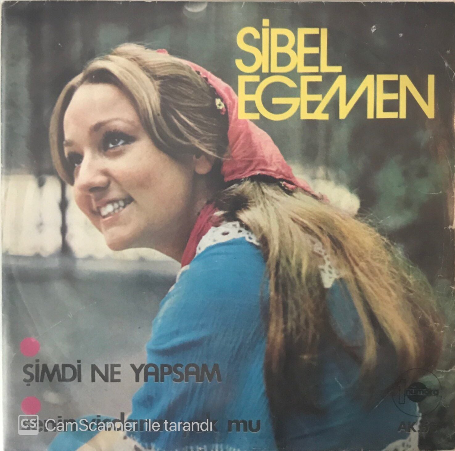 Sibel Egemen Şimdi Ne Yapsam 45lik