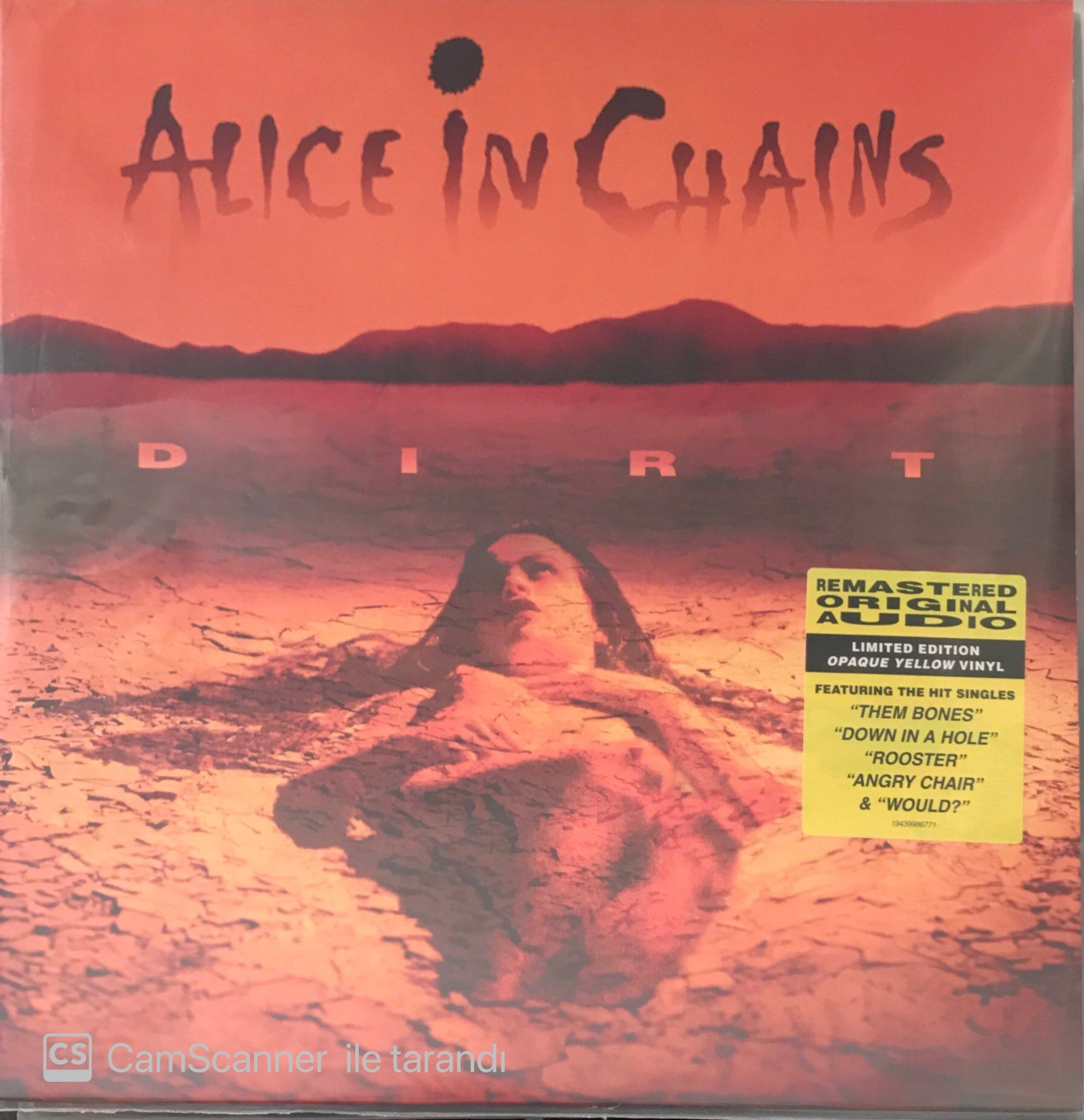 Alice In Chains - Dirt Double (Ten Rengi) LP