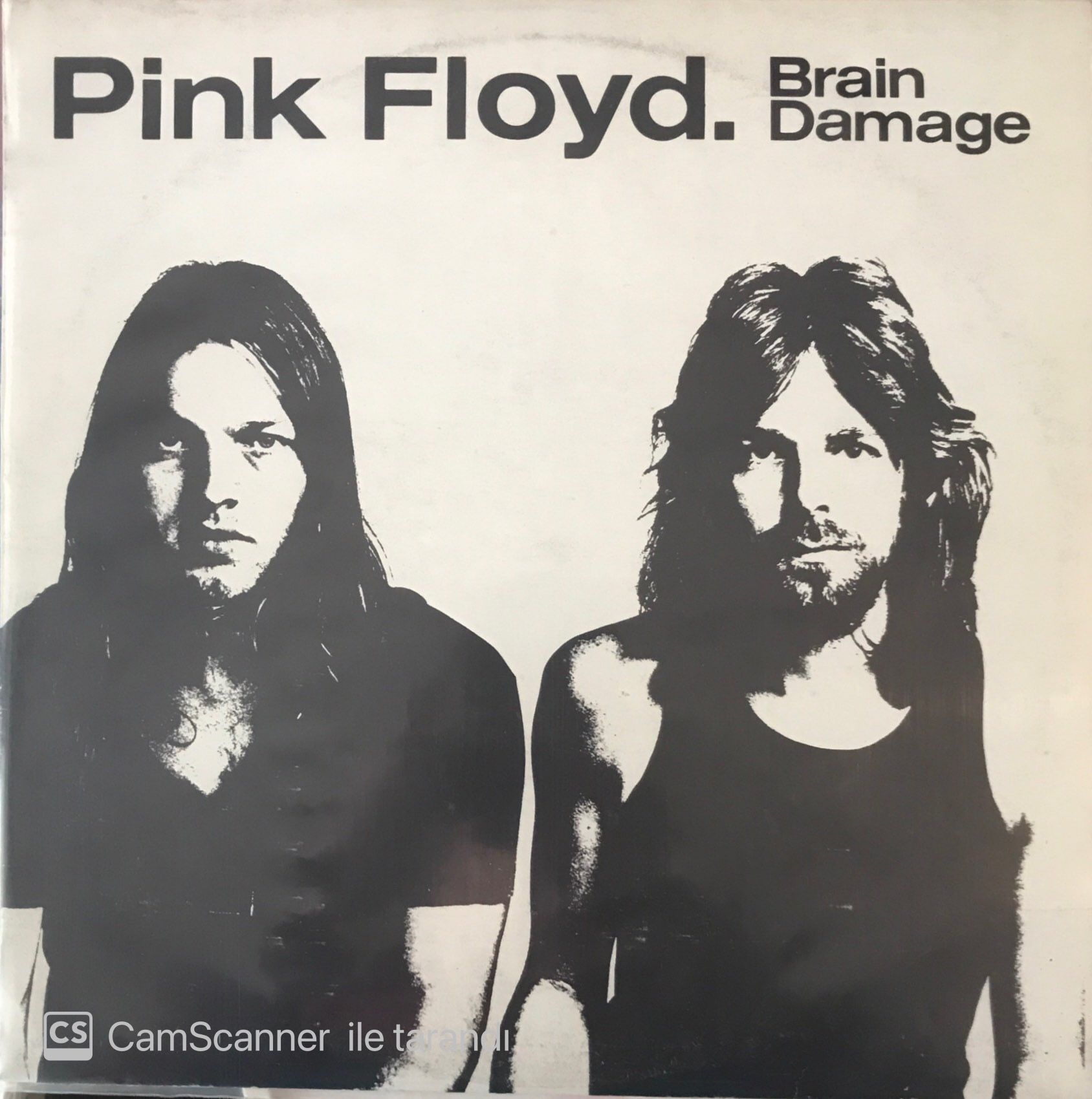 Pink Floyd Brain Damage LP