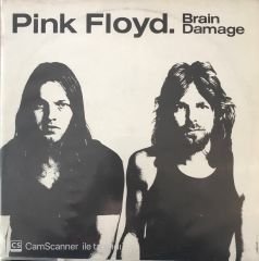 Pink Floyd Brain Damage LP