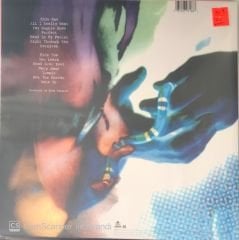 Alanis Morissette - Jagged Little Pill LP