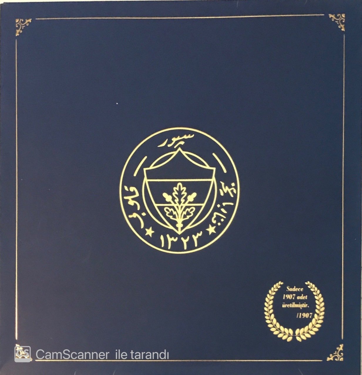 Efsane Yıldız Fenerbahçe Lisanslı Ürün LP