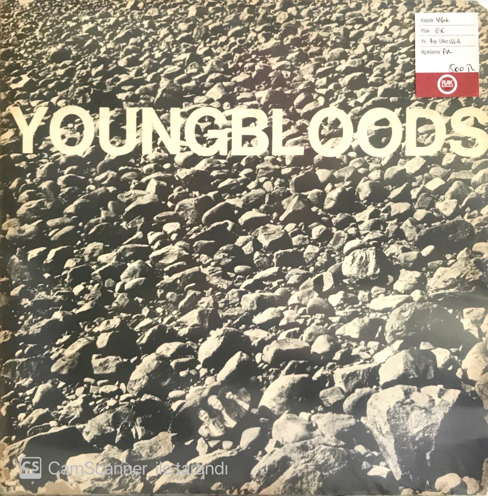Youngbloods / Rock Festival LP