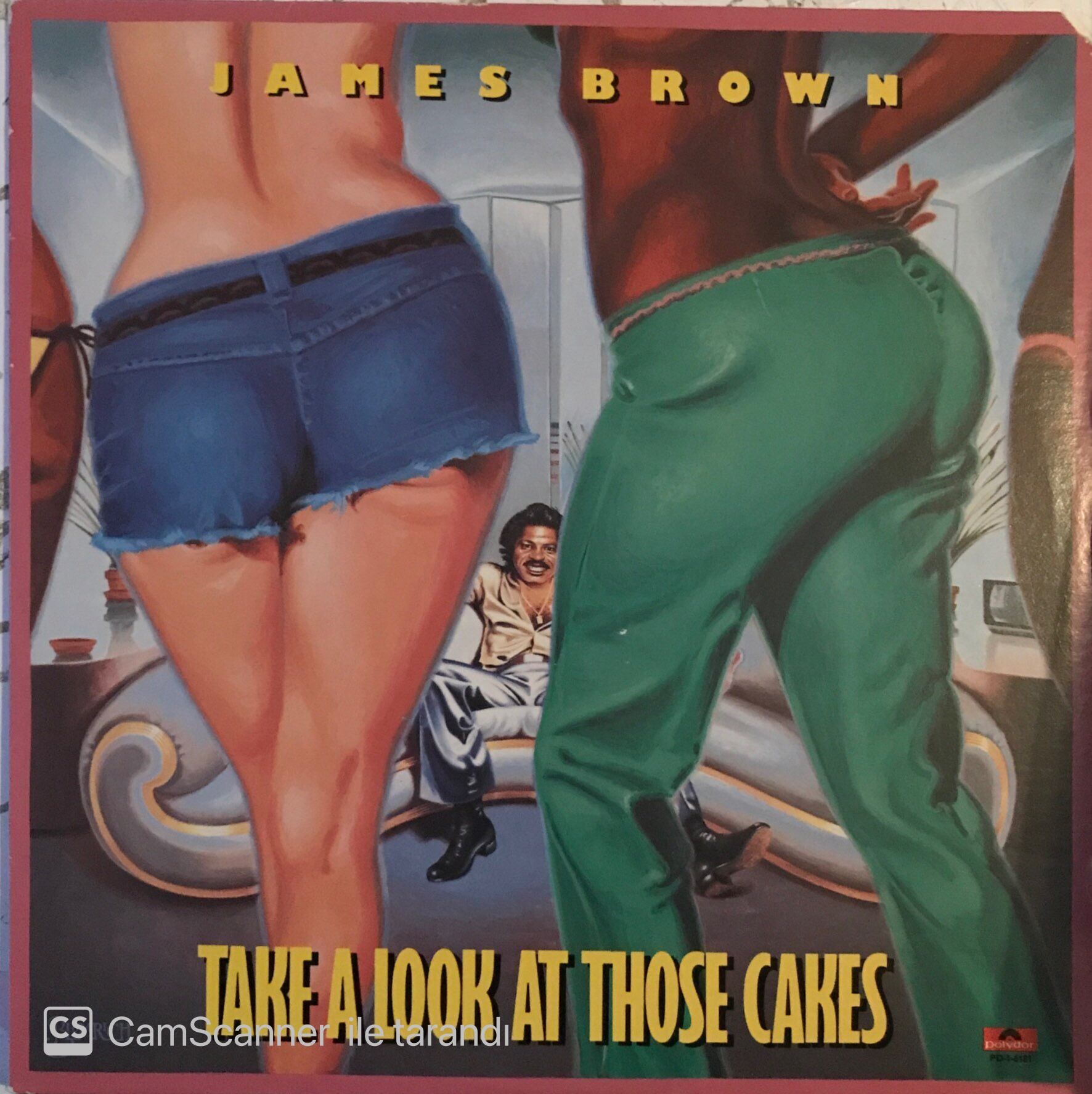 James Brown - Take A Look At Those Cakes LP